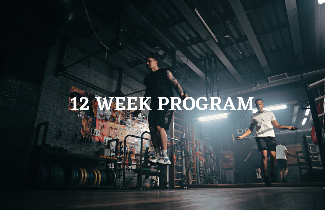 12 Week Customized Workout Program